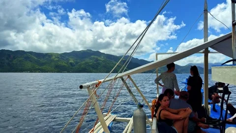Excursion to visit whale sharks. Stock Footage 334462042