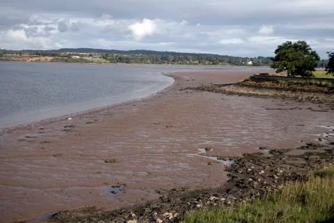 Exe estuary Foto stock