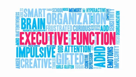 Executive Function Word Cloud Stock Footage 88892337
