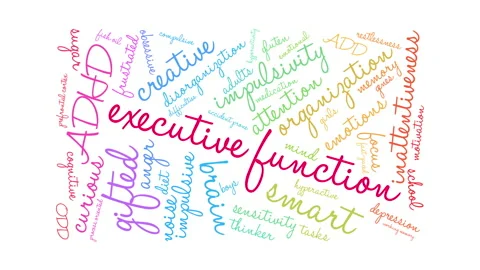 Executive Function Word Cloud 스톡 동영상 147732372