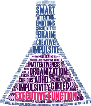Executive Function Word Cloud Stock Illustration