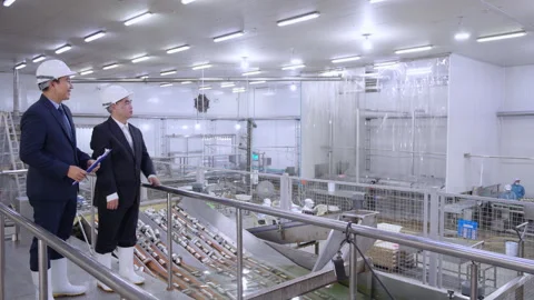 Executive manager and engineer inspecting food processing factory, business.. Stock Footage 318817930