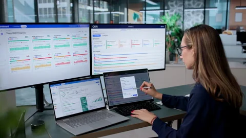 Executive Reviews Company OKR Software Dashboard Tracking Progress Stock Footage 338170310
