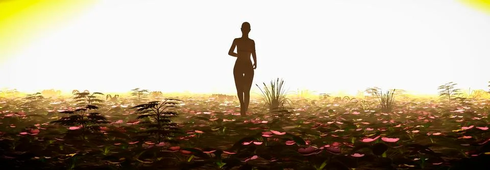 Exercise and sunset Stock Illustration
