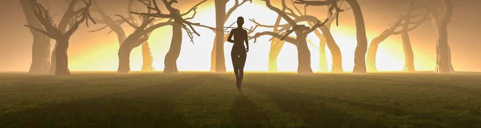 Exercise and sunset Stock Illustration