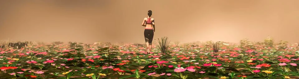 Exercise and sunset Stock Illustration