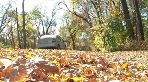 Exercise in Autumn Vidéo 12578262