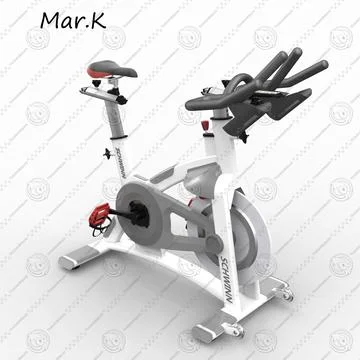 realistic exercise bike