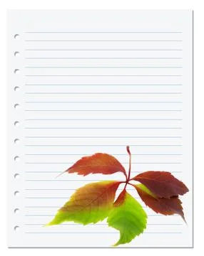Exercise book with multicolor virginia creeper leaf Stock Photos