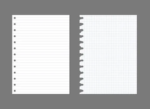 Exercise book paper page background. Notebook sheet lined texture pattern Illustrazione stock