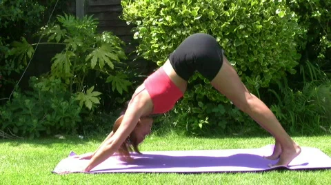 Exercise Stock Footage