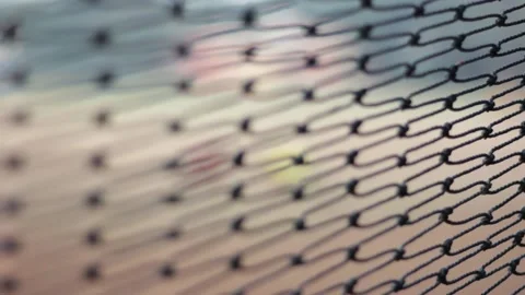 Exercise Stock Footage 208443062