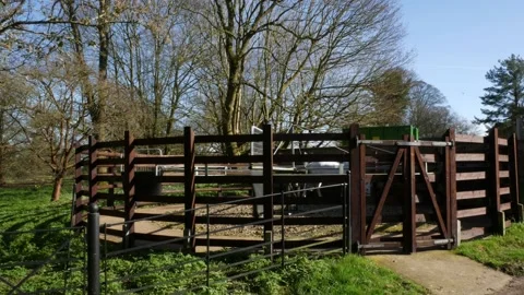 Exercise machine for horse Stock Footage 160984549
