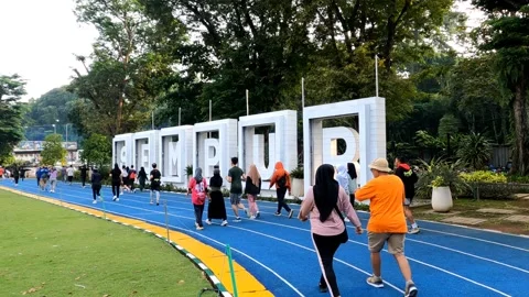 Exercise in the morning Stock Footage 262809869