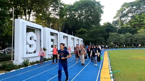 Exercise in the morning Stock Footage 262809885