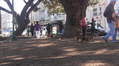 Exercise in the park Vídeo Stock 49124596