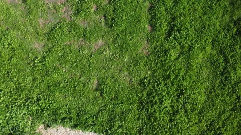 Exercise park Stock Footage 147941448
