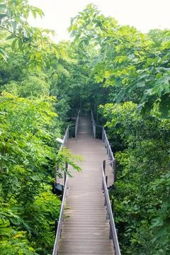 Exercise path in the park Stock Photos