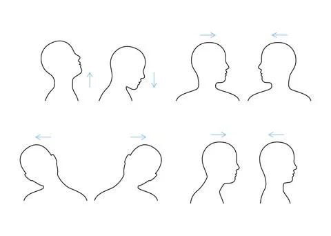 Exercise on stretch muscles of neck, raise and lower, turn and tilt head, line Stock Illustration