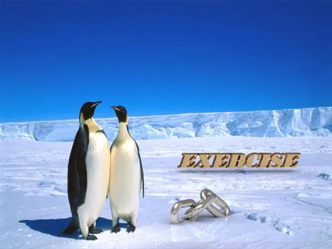 EXERCISE  Two foolish penguins and big silver chain on driftage ice on north Stock Illustration