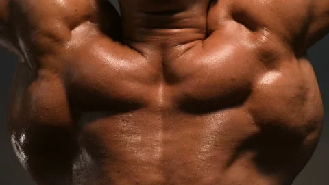 Exercises in gym Video stock 136467741