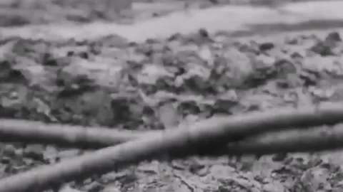Exercises of Soviet tank crews. USSR 70s  (71) Stock Footage 263661679