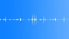 EXERCISE,WEIGHT ROOM Sound Effect