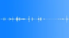 EXERCISE,WEIGHT ROOM Sound Effect
