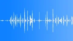 EXERCISE,WEIGHT ROOM Sound Effect