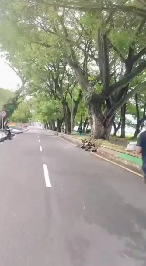 Exercising in the afternoon Video stock 194366966