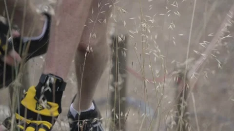 Exercising group 스톡 동영상 246964287