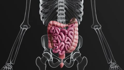 Exerction  4K Video stock 285108920