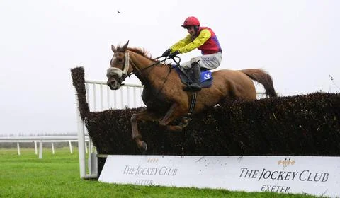  Exeter Races, Exeter, UK - 26 Nov 2023 Bumpy Johnson ridden by Jack Tudor... Stock Photos