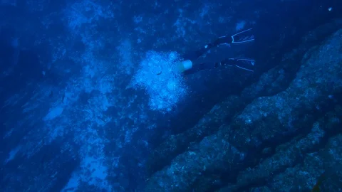 Exhaled scuba diver bubbles rising to ocean surface Stock Footage 115820110