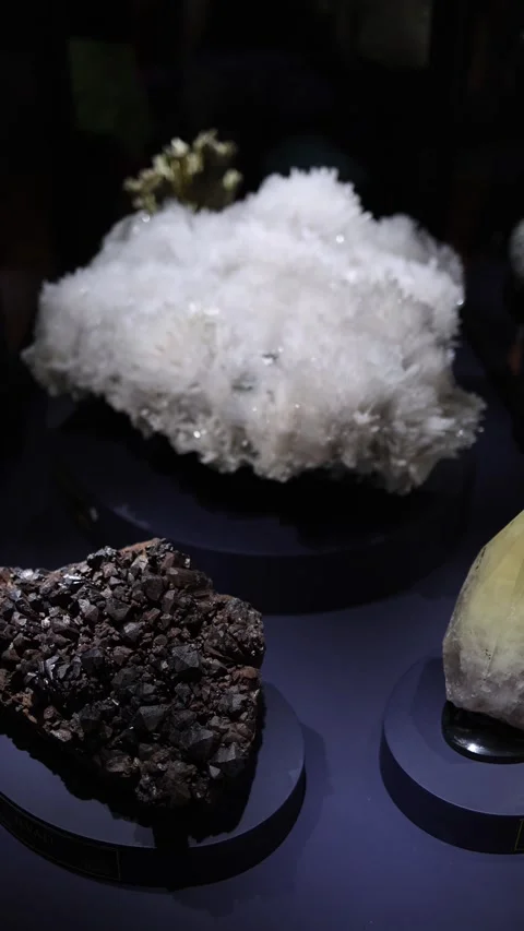 Exhibit of diverse mineral specimens, featuring a white crystalline cluster, dar Stock Footage 289637659