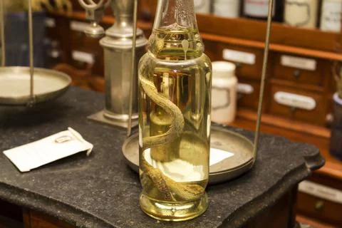 Exhibit Snake in formaldehyde inside the bottle is on the table Stock Photos