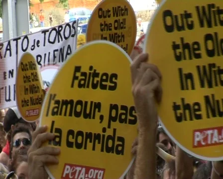 Exhibition against bullfight 02 Stock Footage