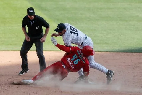 Exhibition game - Mexico Red Devils vs New York Yankees, Mexico City - 24 Mar 20 Stock Photos