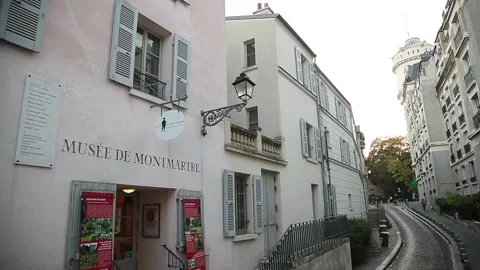 An exhibition in Paris shows the relationship between Picasso and Fernande Olivi Stock Footage 218752065