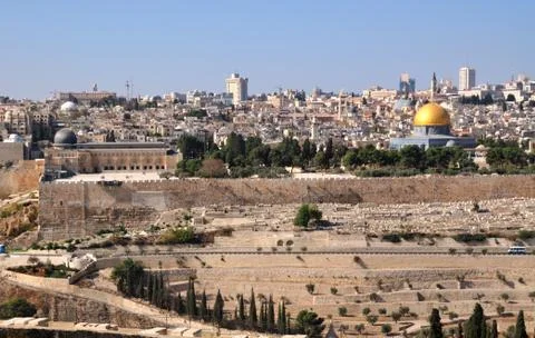 Exhibition Stock Photos