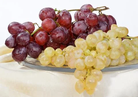 Exhibition Stock Photos