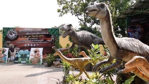 Exhibition robot Dinosaur model at Chiang mai zoo. Stock Footage 80492196