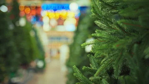 Exhibition showcases artificial New Year trees in shopping center window Stock Footage 331350470
