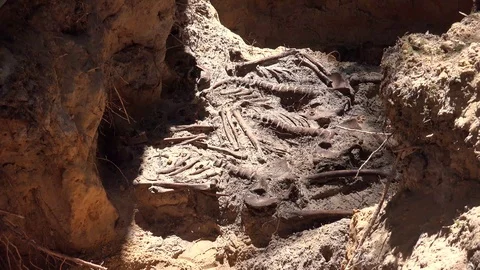 Exhumation of Human Remains 8 Stock Footage 109535152