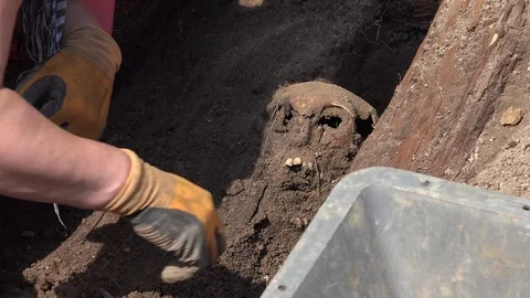 Exhumation of Human Remains 動画素材 109535063
