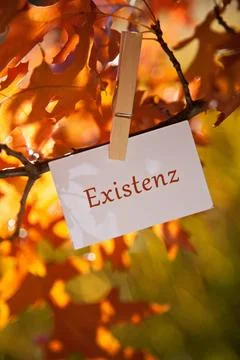 Existenz The word Existenz attached to a tree Copyright: xZoonar.com/PIXEL... Foto stock