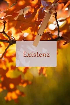 Existenz The word Existenz attached to a tree Copyright: xZoonar.com/PIXEL... Foto stock