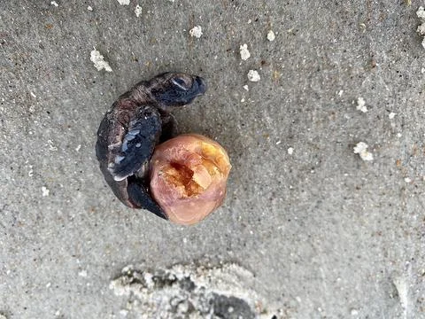 Exit before arrival  Stock Photos