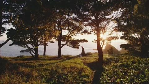 Exit forest to overlook Pacific Ocean at sunset on the beautiful Oregon coast Stock Footage 148344354