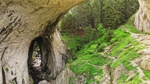 Exit Large Cavern Cave Reveal Bright Sun Flares Fresh Morning Forest Stock Footage 289575915